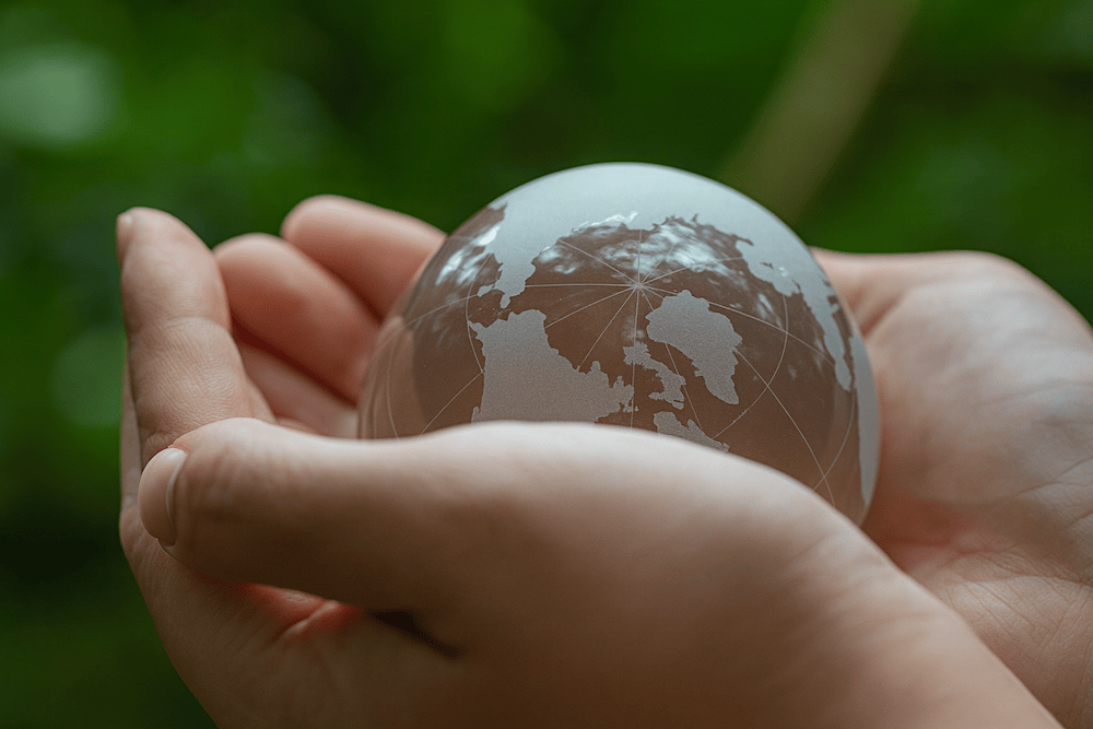 The Conscience of Sustainability: Ethics