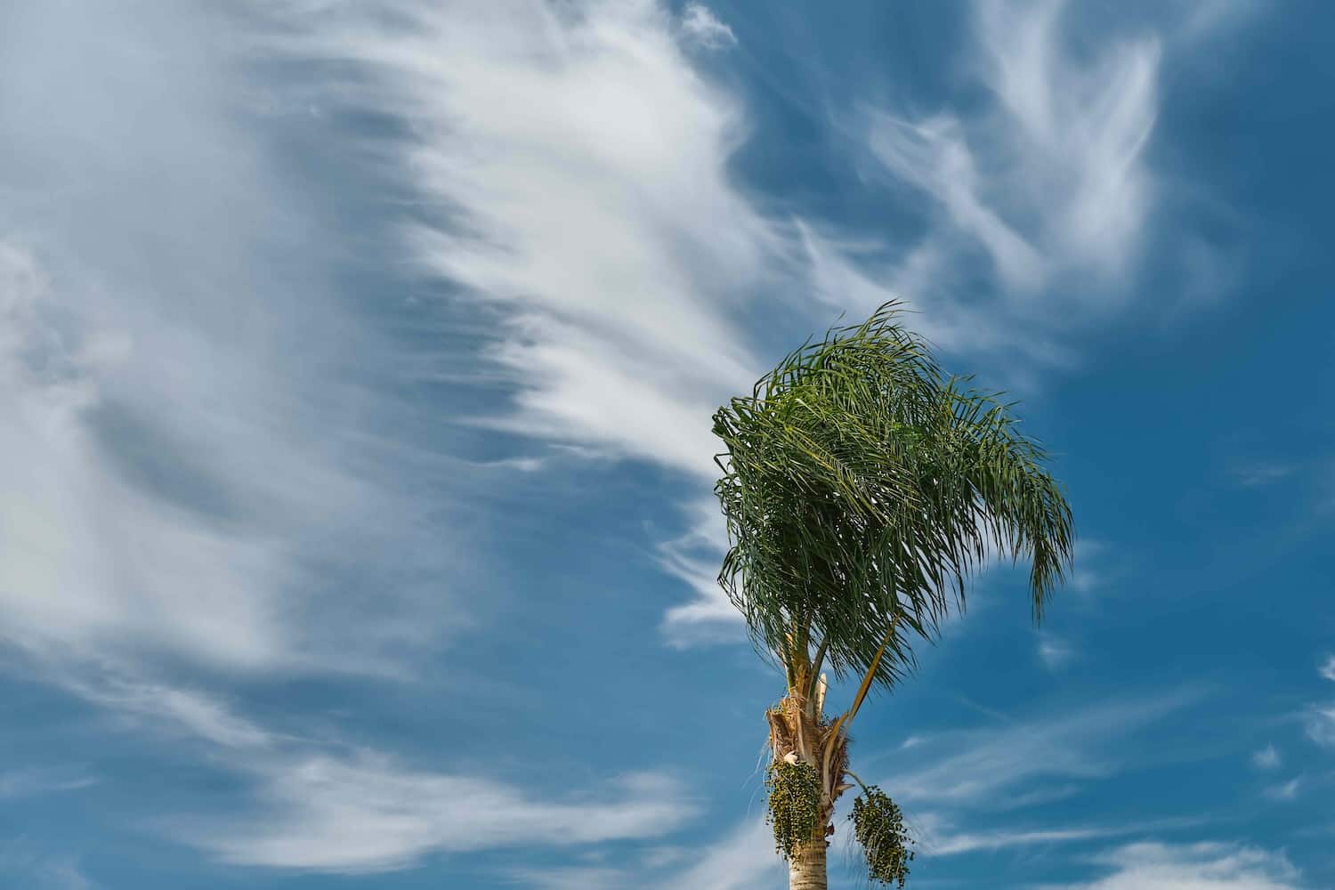 Reading the Wind: Culture's Invisible Rules in Dispute Resolution
