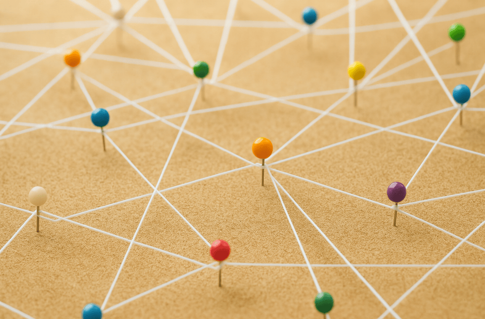 Connecting the Pieces, Seeing the Whole