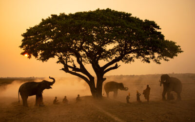 Kırılgan Bir Dünyada Güçlü Kalmak: BM’nin 2024 Risk Haritası