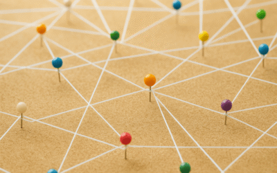 Connecting the Pieces, Seeing the Whole